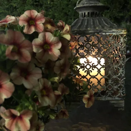 Albiretes アパート アルビール