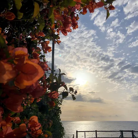 Albiretes アルビール