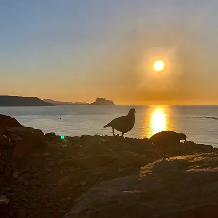 Apartment Albiretes *