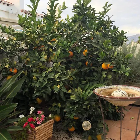 Albiretes * El Albir