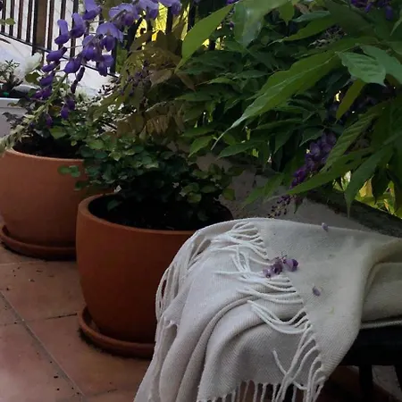 Apartment Albiretes *