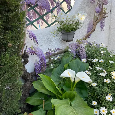 Albiretes Apartment *