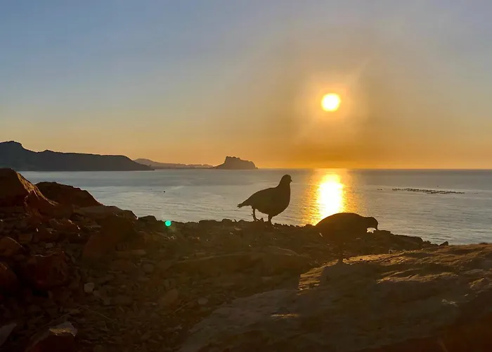 아파트 Albiretes *