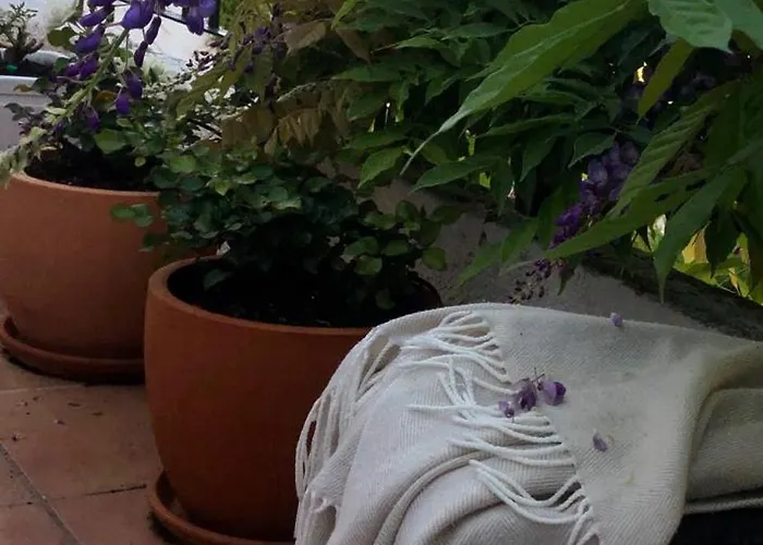 아파트 Albiretes *