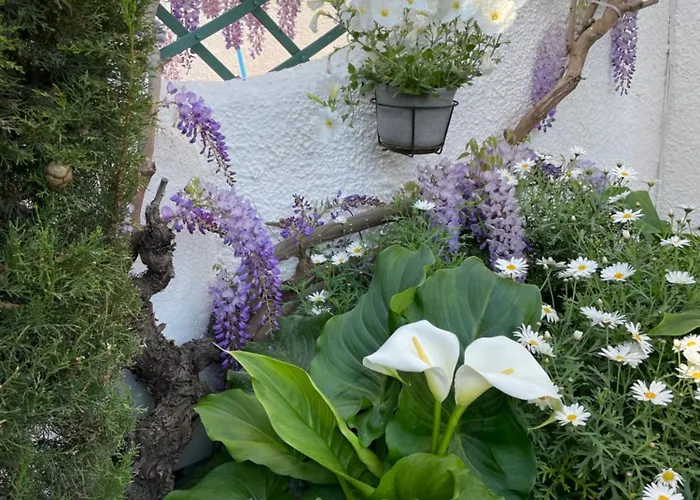 Albiretes 아파트 *